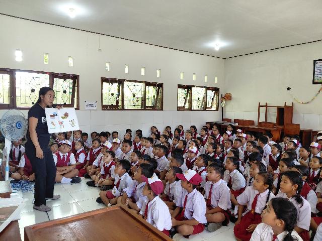 <center></center> video